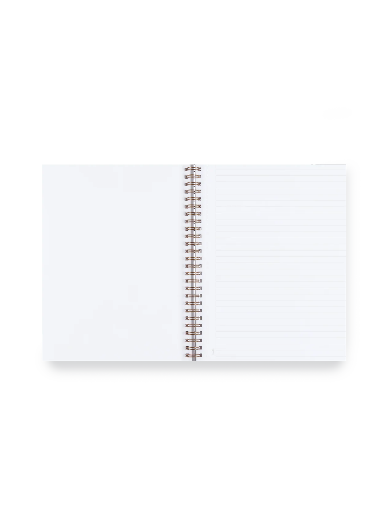 D.C. Workbook - Image 2